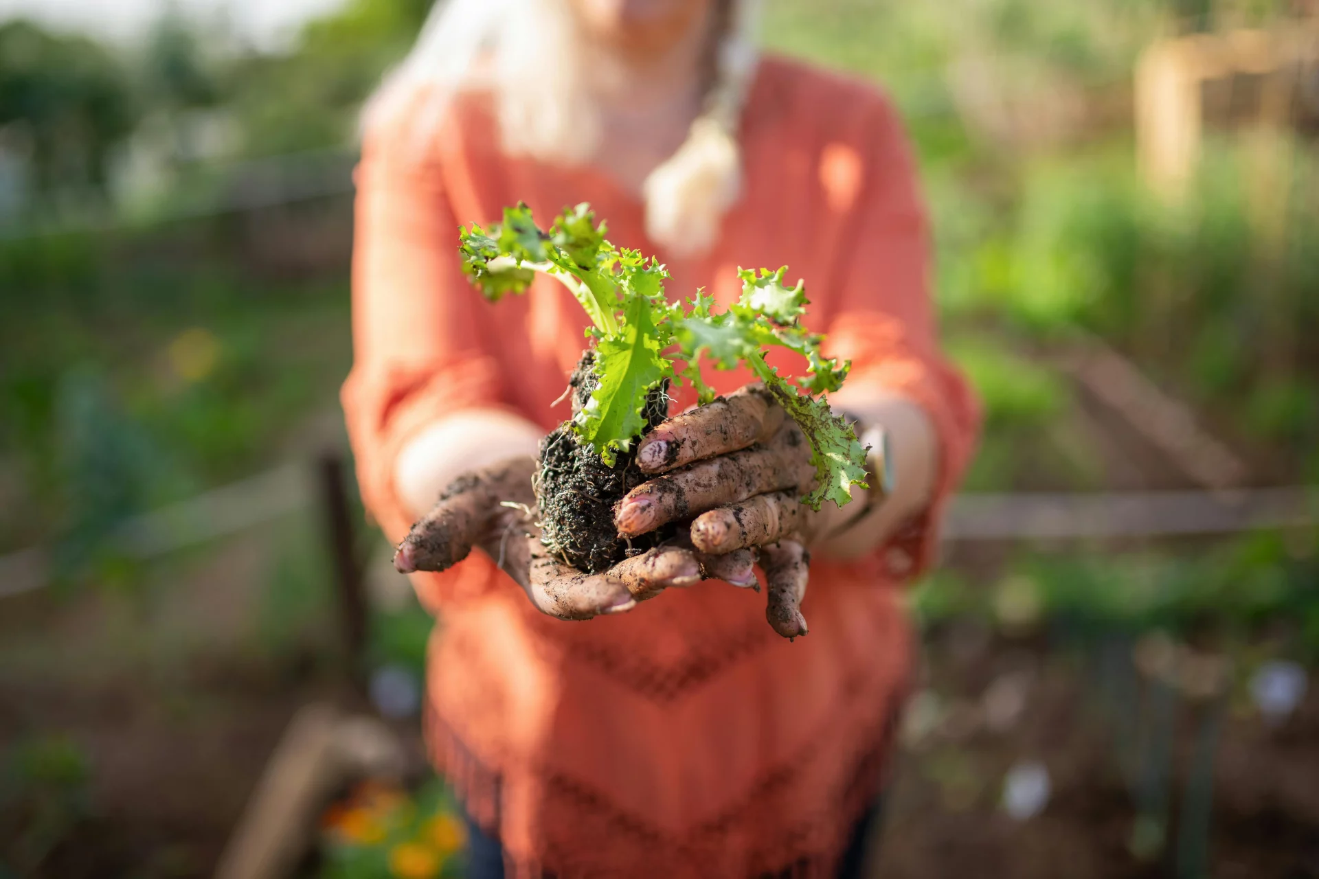 Returning to Life: Helping Systems During the Recovery Period