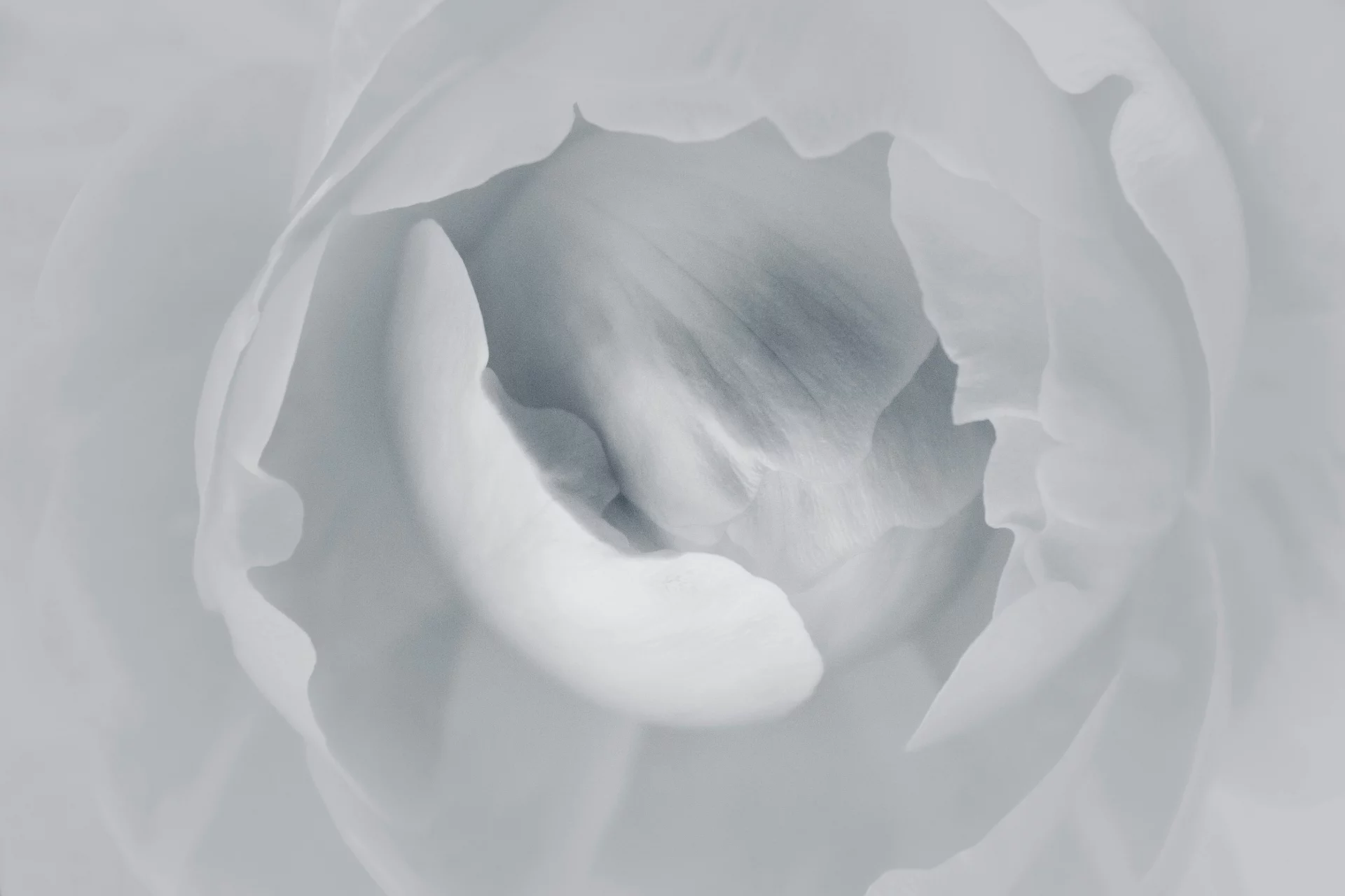 Breast Health: How to Relieve Discomfort and Protect Tissues from Stagnation