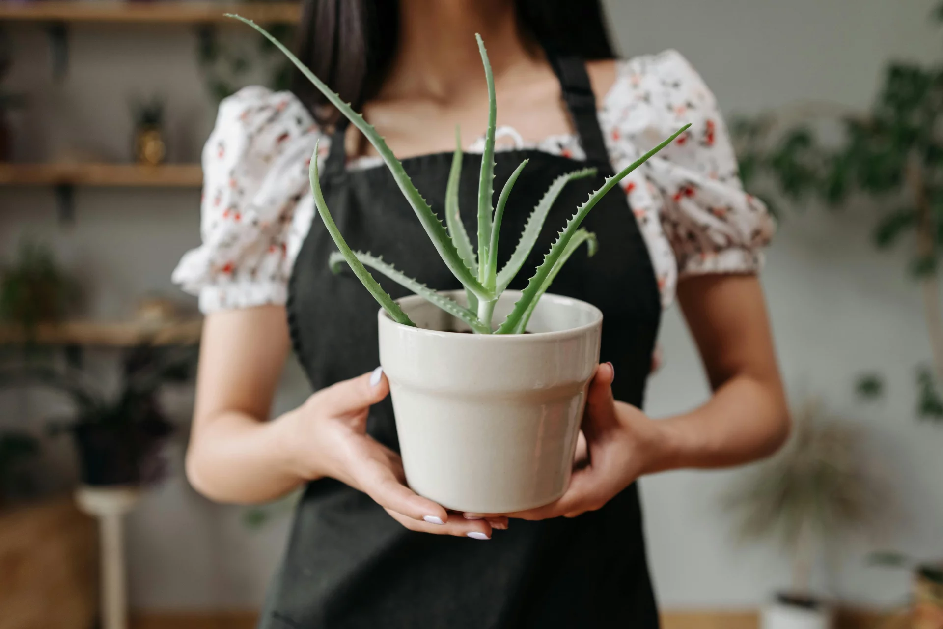 Fresh aloe vera leaf and clear gel surrounded by botanical ingredients