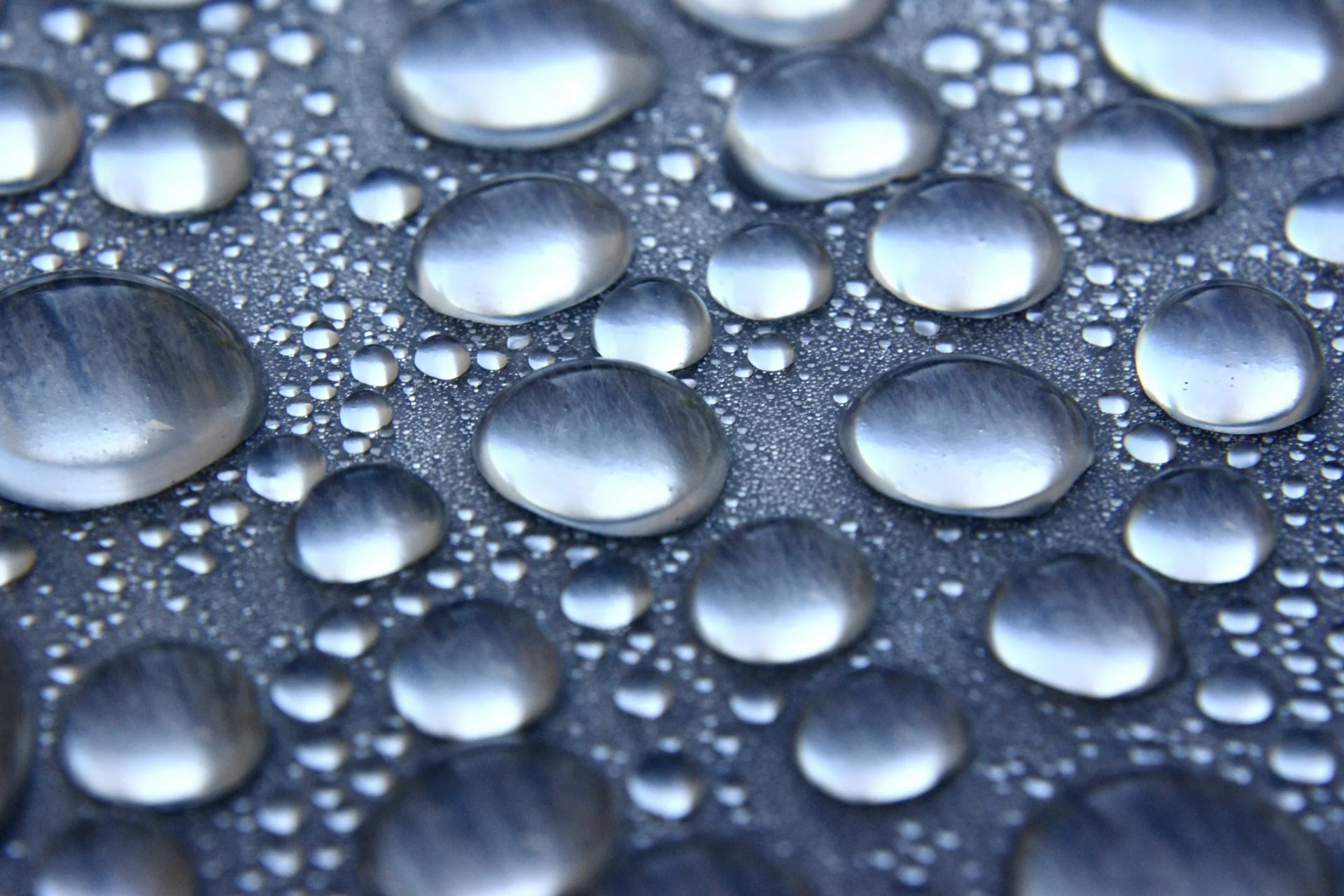 Mechanism of bioavailable water penetrating the cell