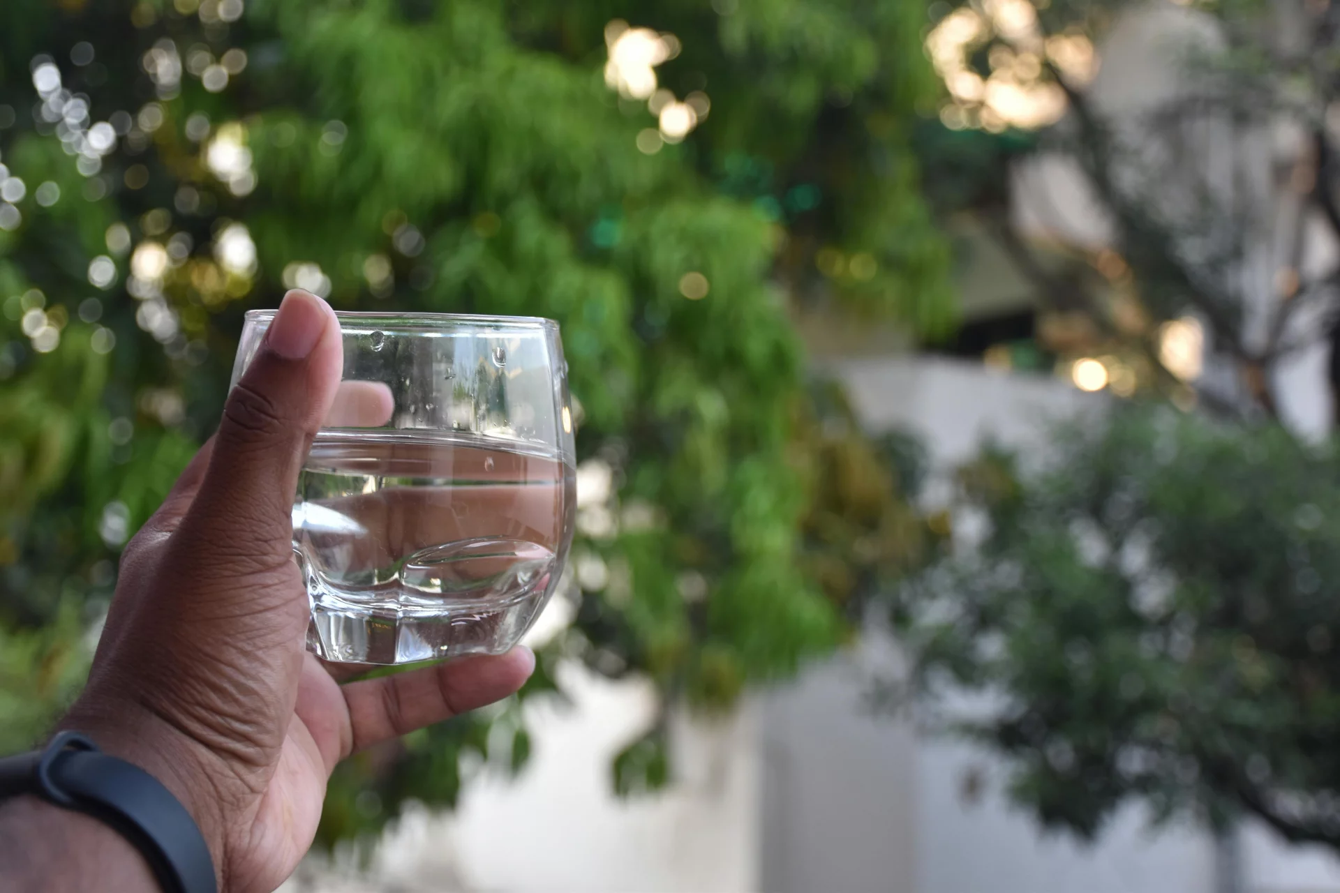 Clean water and a light plant-based diet