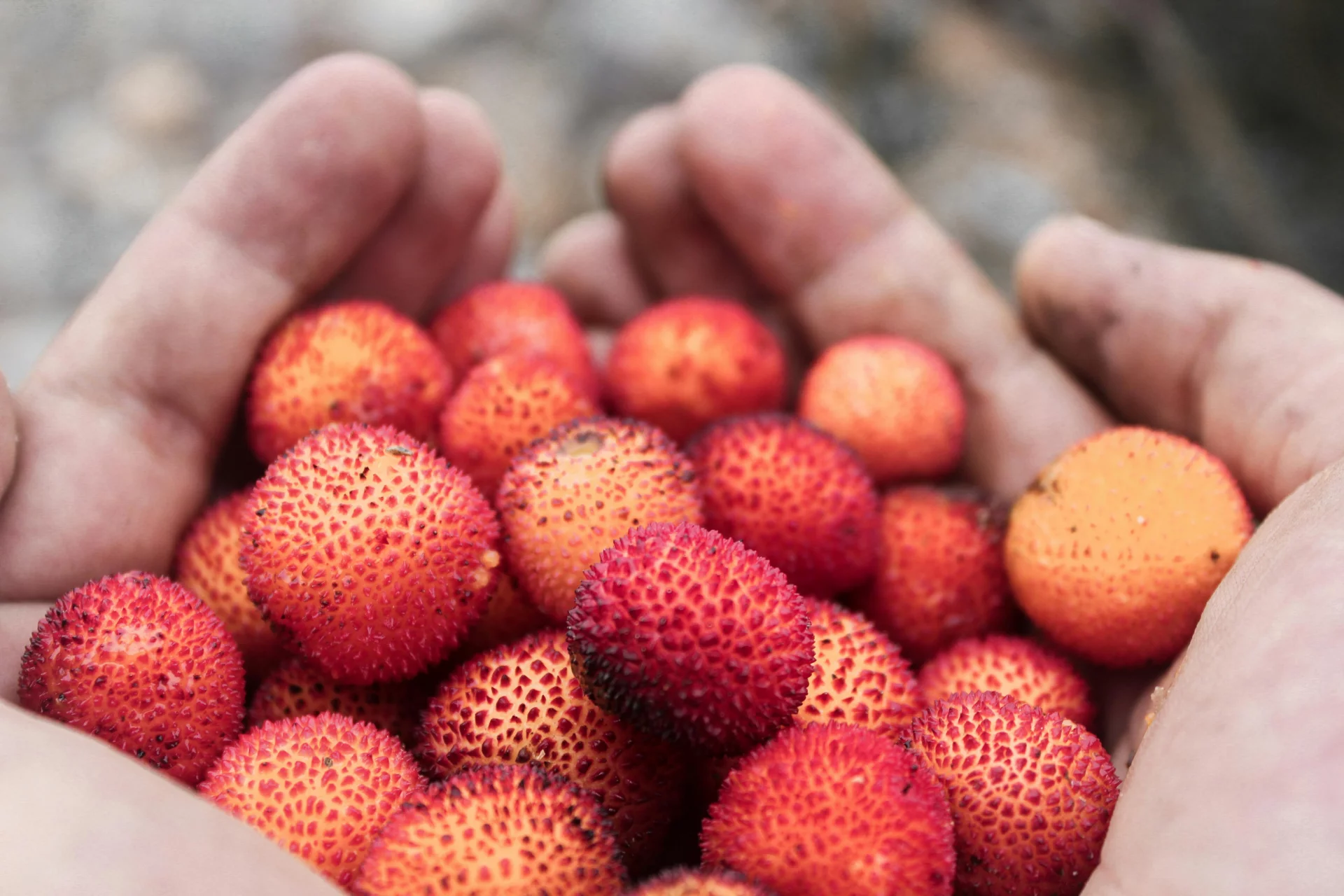 Micronutrients: The Invisible Mechanisms of Resource