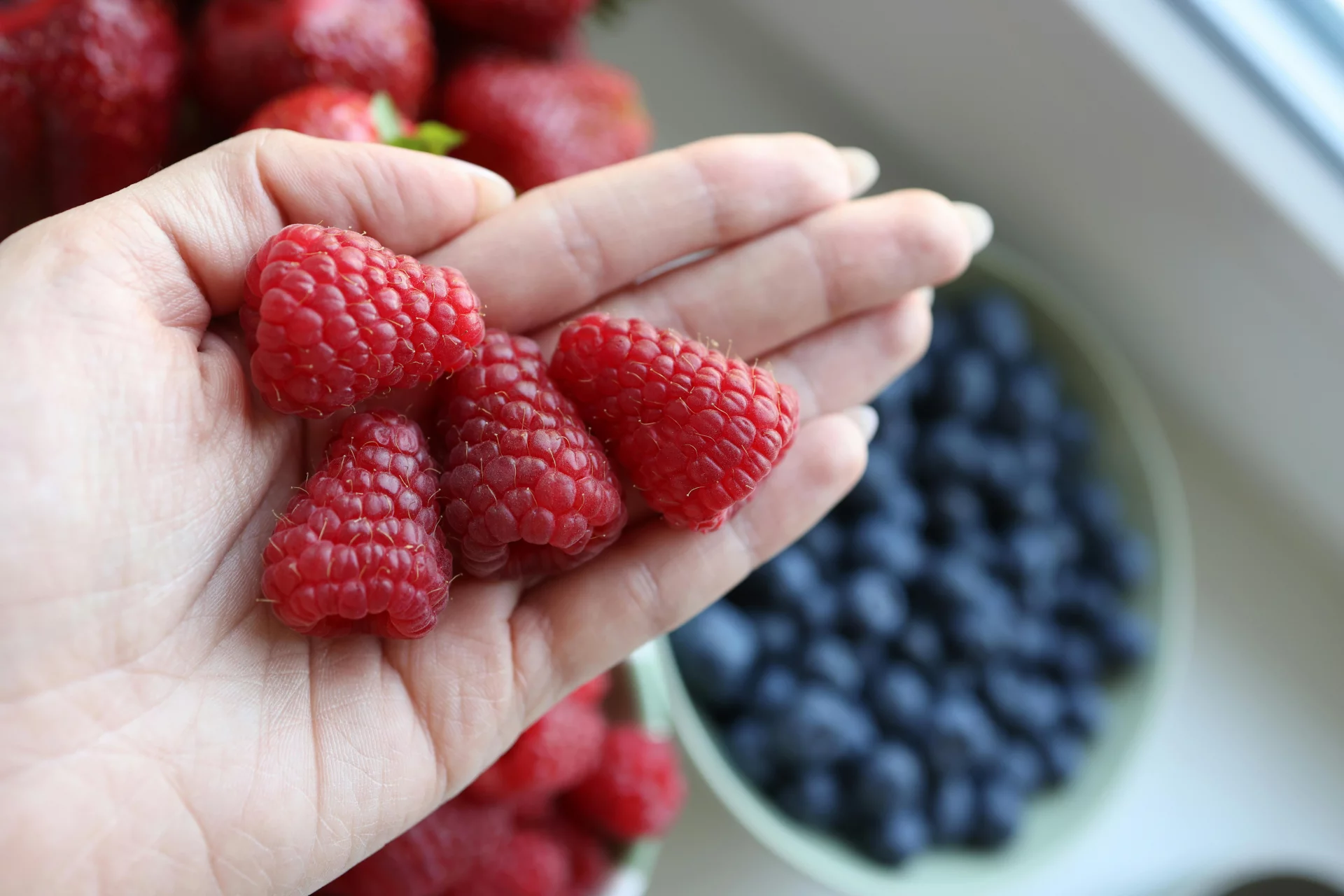 Antioxidant Protection