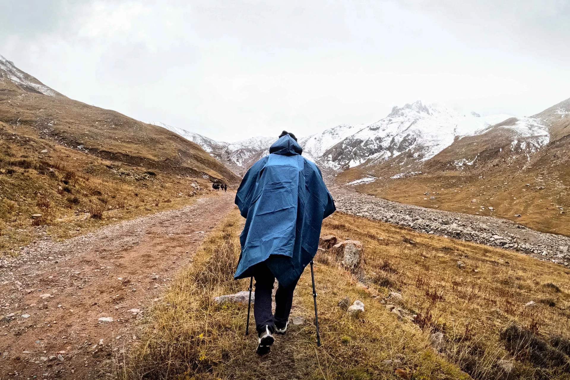 The Synergy of Glucosamine and Chondroitin for Freedom of Movement