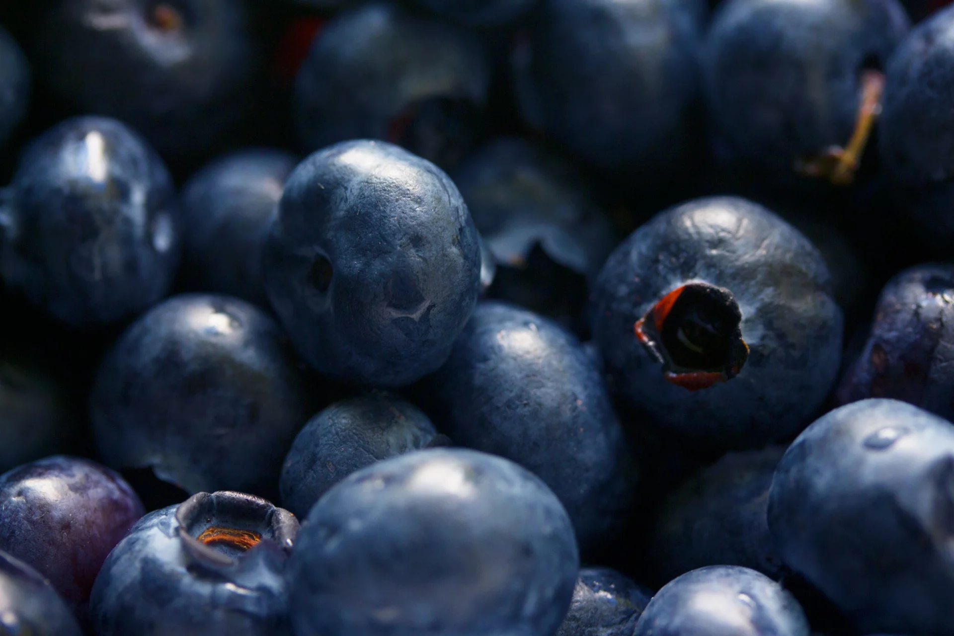 Plant Polyphenols and Vitamins for Memory and Brain Support