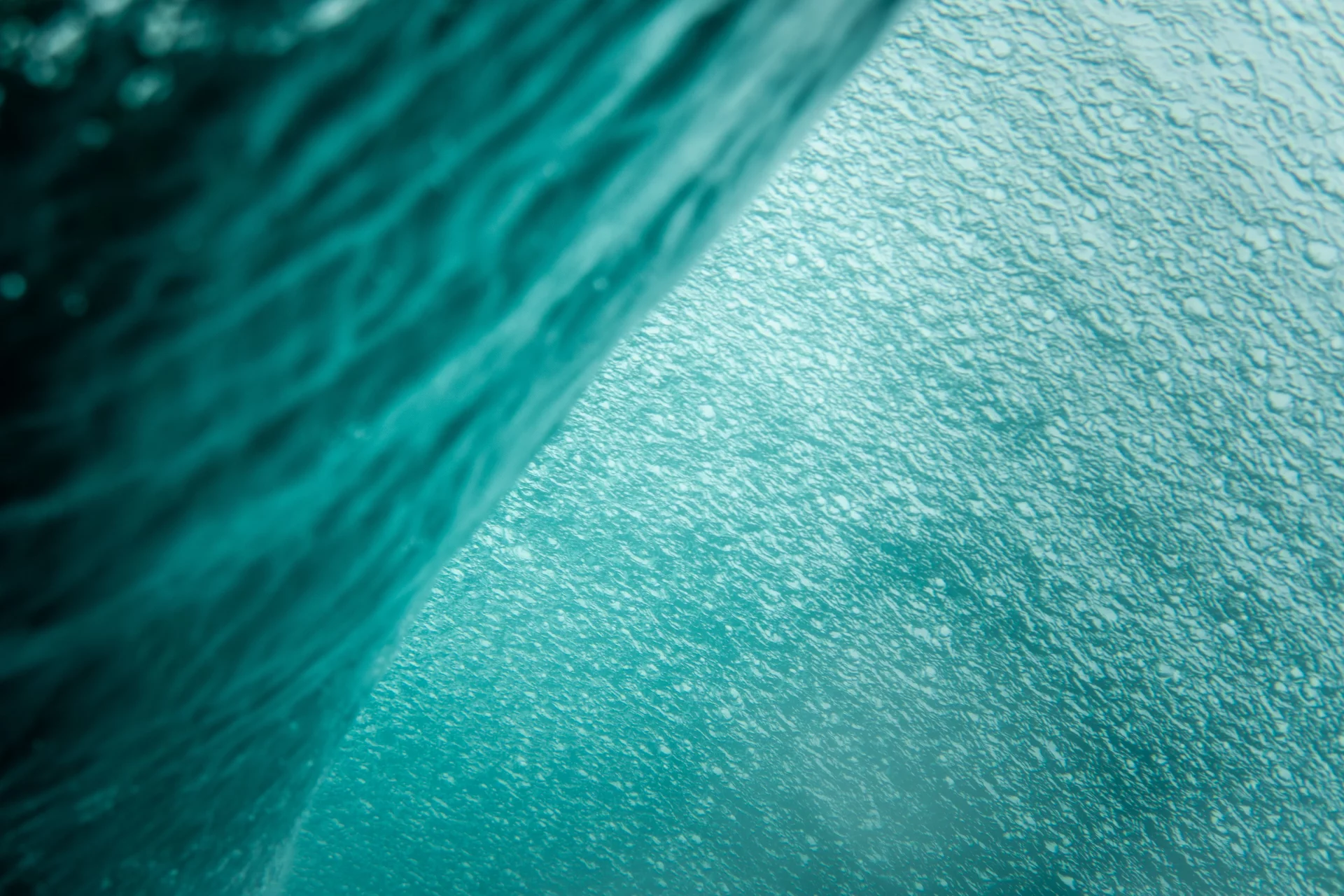 Rare Form of Omega-3 from Arctic Waters for Metabolic Support