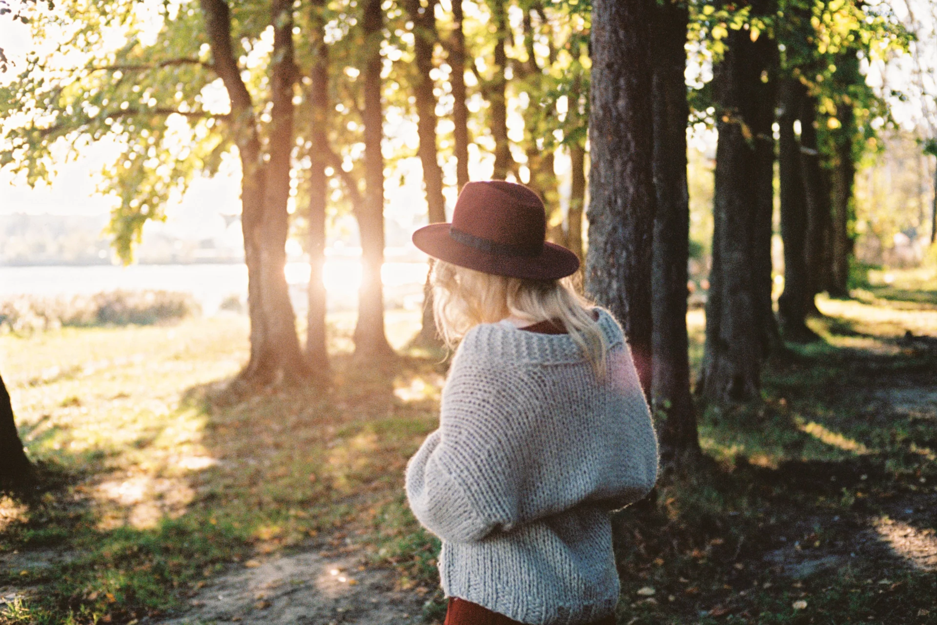 Basic Restoration of Body Resources: Energy, Digestion, and Stress Protection