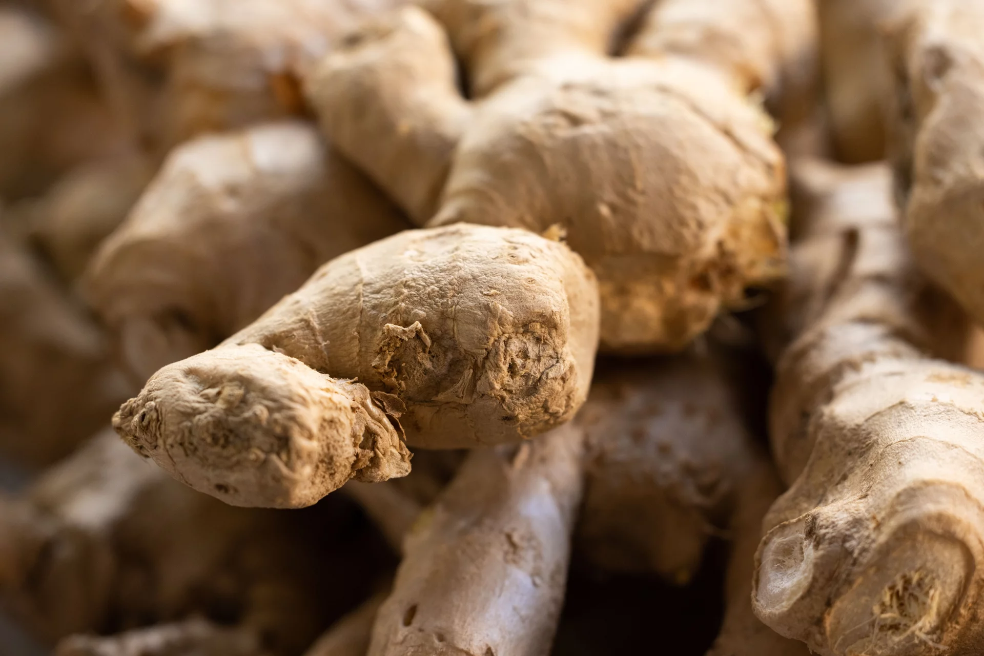The Natural Power of Licorice and Ginger for Respiratory Support and GI Comfort